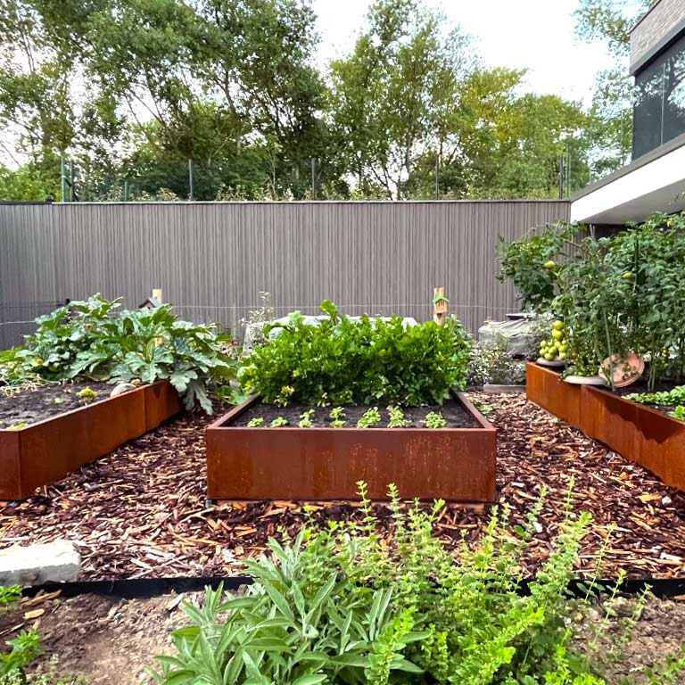 Kortena tērauda puķu kaste Texas xxl 240 x 120 cm