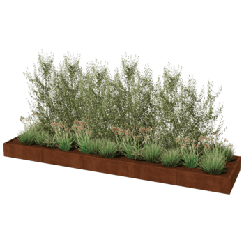 Kortena tērauda puķu kaste Texas xxl 500 x 120 cm