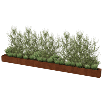 Kortena tērauda puķu kaste Texas xxl 500 x 30 cm