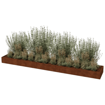 Kortena tērauda puķu kaste Texas xxl 500 x 80 cm