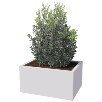 Tērauda puķu kaste - Taisnstūris - 60 x 80 cm