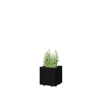 Tērauda puķu kaste - Kvadrāts - 30 x 30 x 30 cm - RAL9005 matēts (melns) - Ar pamatplati - Ar kājām