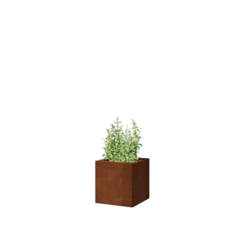 Kortena tērauda puķu kaste - Kvadrāts - 30 x 30 x 30 cm - Ar pamatplati