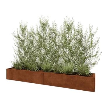 Kortena tērauda puķu kaste XXL - Taisnstūris - 240 x 40 x 30 cm - Bez pamatplates