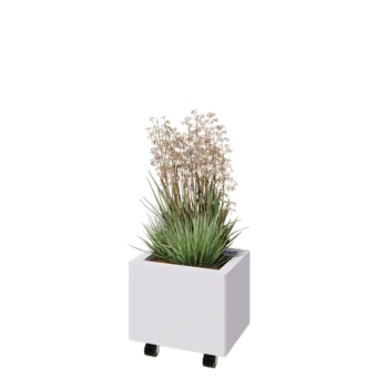 Tērauda puķu kaste - Taisnstūris - 40 x 30 x 30 cm - RAL9010 matēts (balts) - Ar pamatplati - Ar riteņiem