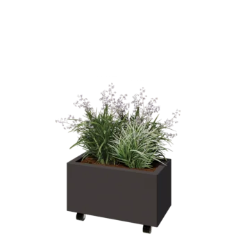 Tērauda puķu kaste - Taisnstūris - 60 x 30 x 30 cm - RAL7016 matēts (antracīta pelēks) - Ar pamatplati - Ar riteņiem