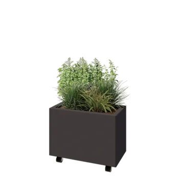 Tērauda puķu kaste - Taisnstūris - 60 x 30 x 40 cm - RAL7016 matēts (antracīta pelēks) - Ar pamatplati - Ar riteņiem