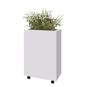 Tērauda puķu kaste - Taisnstūris - 60 x 30 x 80 cm - RAL9010 matēts (balts) - Ar pamatplati - Ar riteņiem