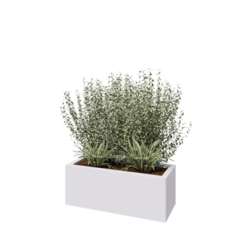 Tērauda puķu kaste - Taisnstūris - 80 x 30 x 30 cm - RAL9010 matēts (balts) - Bez pamatplates