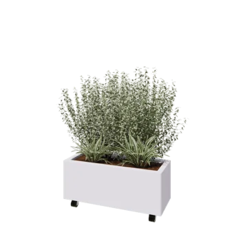 Tērauda puķu kaste - Taisnstūris - 80 x 30 x 30 cm - RAL9010 matēts (balts) - Ar pamatplati - Ar riteņiem