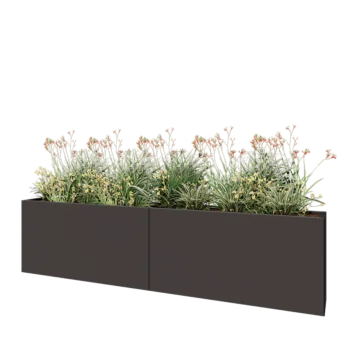Tērauda puķu kaste XXL - Taisnstūris - 240 x 30 x 60 cm - RAL7016 matēts (antracīta pelēks) - Bez pamatplates