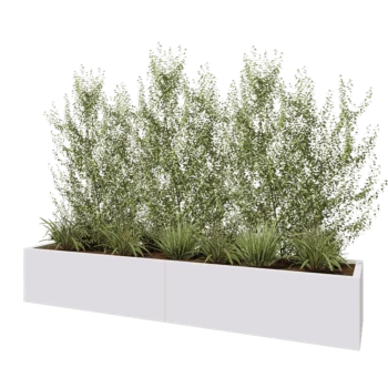 Tērauda puķu kaste XXL - Taisnstūris - 240 x 50 x 40 cm - RAL9010 matēts (balts) - Bez pamatplates