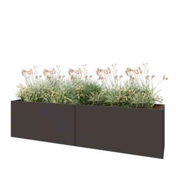 Tērauda puķu kaste XXL - Taisnstūris - 240 x 50 x 60 cm - RAL7016 matēts (antracīta pelēks) - Bez pamatplates
