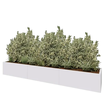 Tērauda puķu kaste XXL - Taisnstūris - 300 x 50 x 40 cm - RAL9010 matēts (balts) - Bez pamatplates