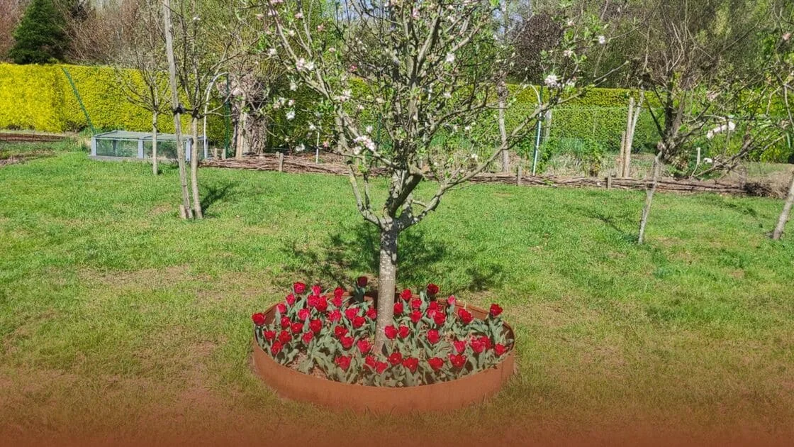 Kā izveidot robežšķērsli ap koku?