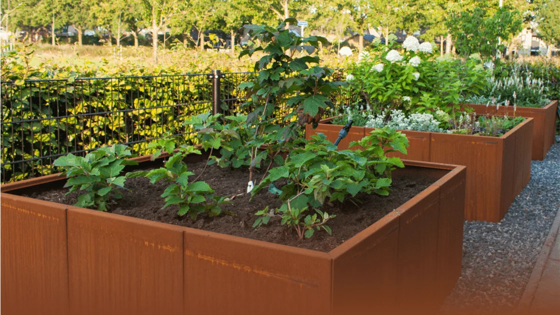 Corten tērauda ceļvedis: viss, kas jums jāzina par šo materiālu