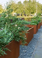 20250425_-_Zakelijke_pagina_-_review_1